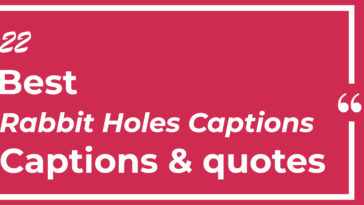 Top Best 22 Rabbit Holes Captions with Texts and Photos