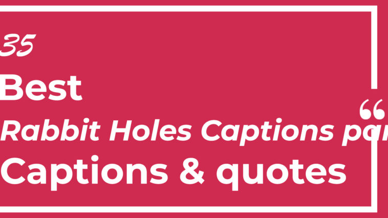 Top Best 35 Rabbit Holes Captions part II with Texts and Photos