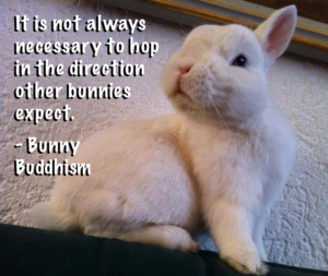 Top Best 25 Rabbits Captions with Texts and Photos