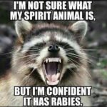 Top Best 17 Rabies Captions with Texts and Photos