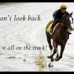 Top Best 23 Race Horses Captions with Texts and Photos
