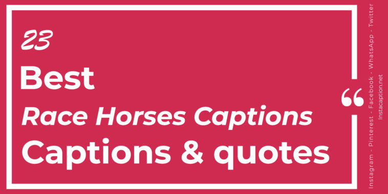 Top Best 23 Race Horses Captions with Texts and Photos