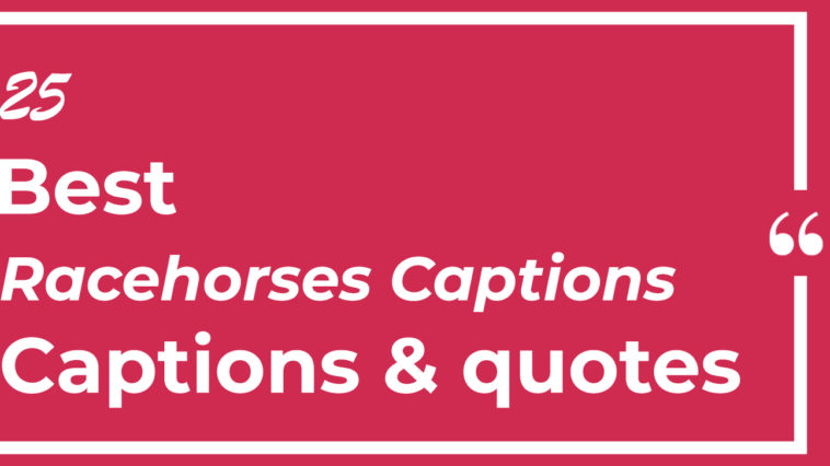 Top Best 25 Racehorses Captions with Texts and Photos