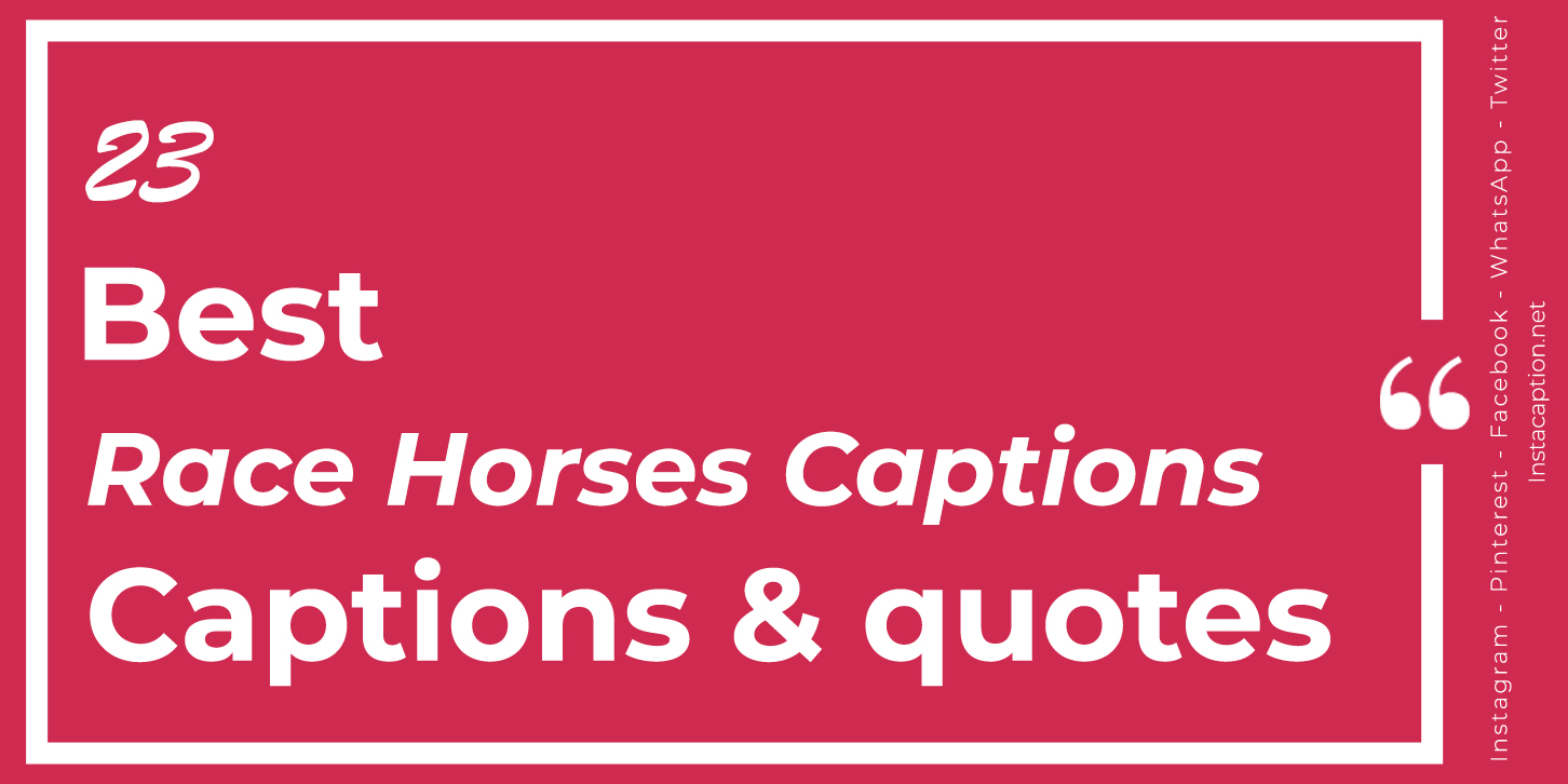 Best 23 Race Horses Captions with Text and Photos