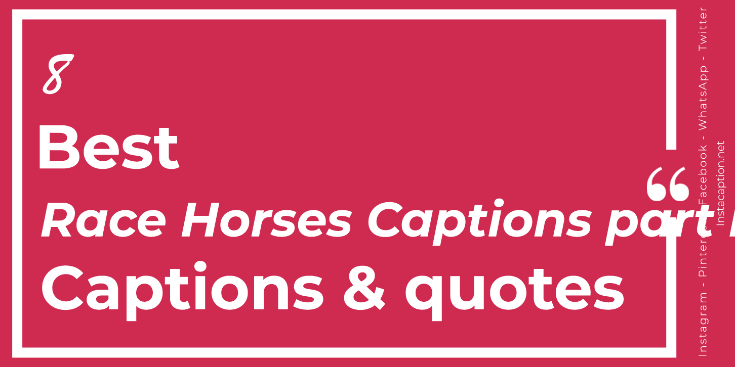 Best 8 Race Horses Captions part II with Text and Photos
