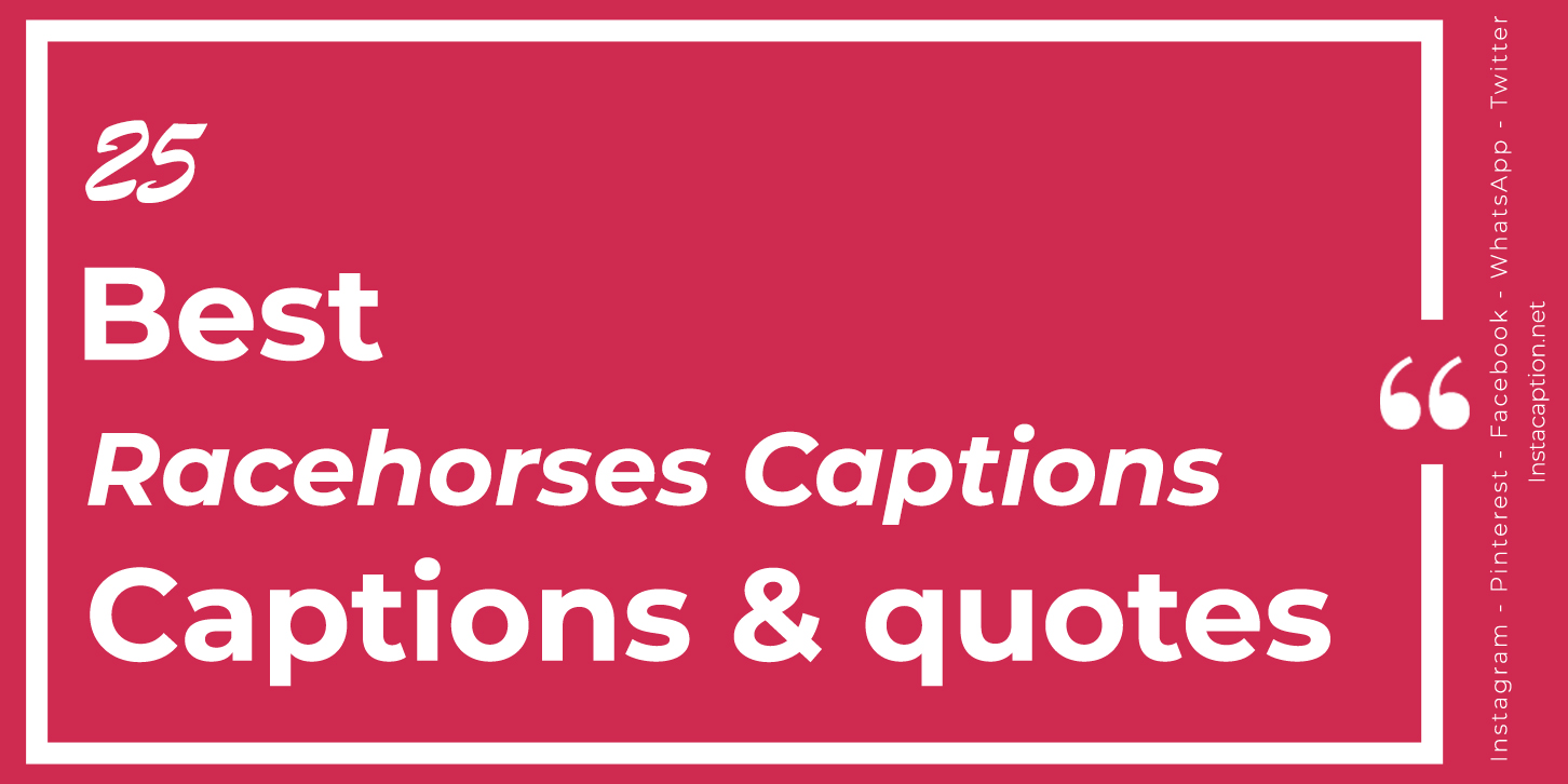 Best 25 Racehorses Captions with Text and Photos