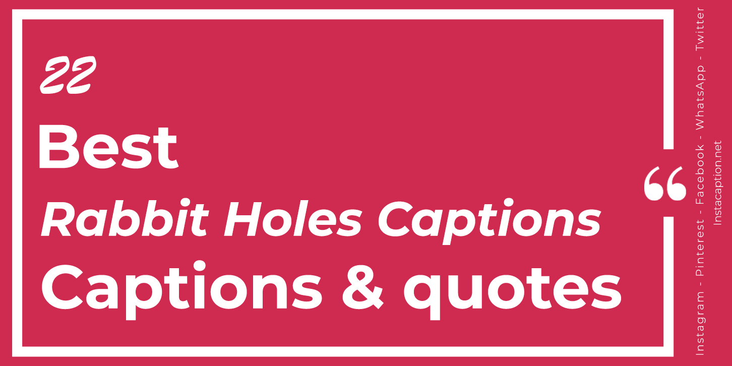 Best 22 Rabbit Holes Captions with Text and Photos
